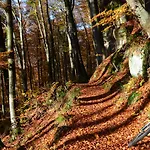Panzió Berdorfer Eck - 4*