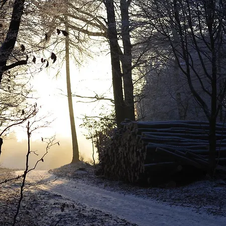 Berdorfer Eck -