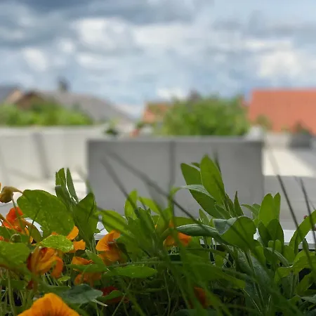 Berdorfer Eck - Bed & Breakfast 4*