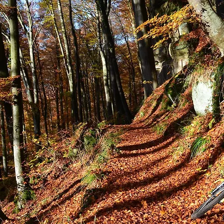 Bed & Breakfast Berdorfer Eck - 4*