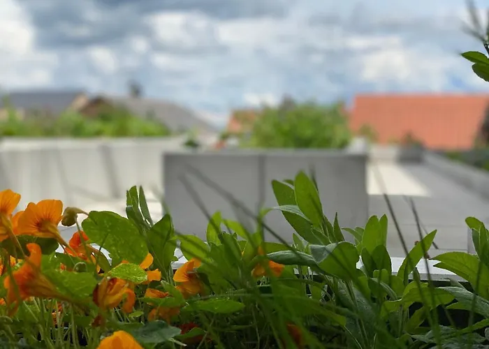 Berdorfer Eck - Bed & Breakfast 4*